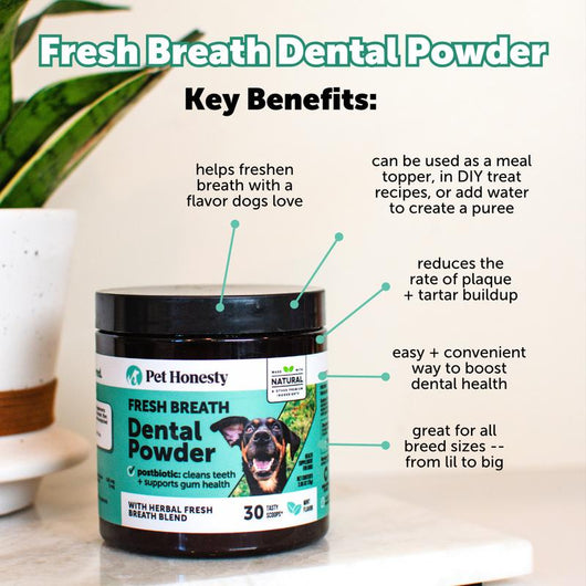 Pet Honesty Dental Powder, Breath Freshener and Teeth Cleaning Dental Care for Dogs, Plaque Tartar Remover with Postbiotic - 30 Scoops